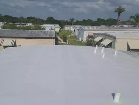 Our Roofs 3