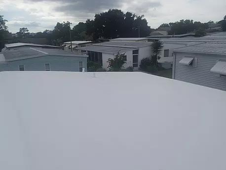 Our Roofs 4