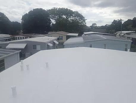 Our Roofs 5 Our Roofs 5